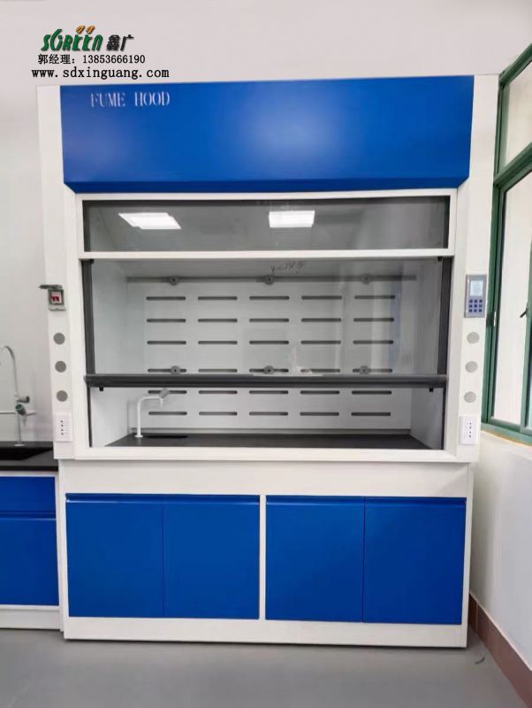 山東實(shí)驗(yàn)臺廠家全鋼通風(fēng)柜化學(xué)化驗(yàn)通風(fēng)櫥