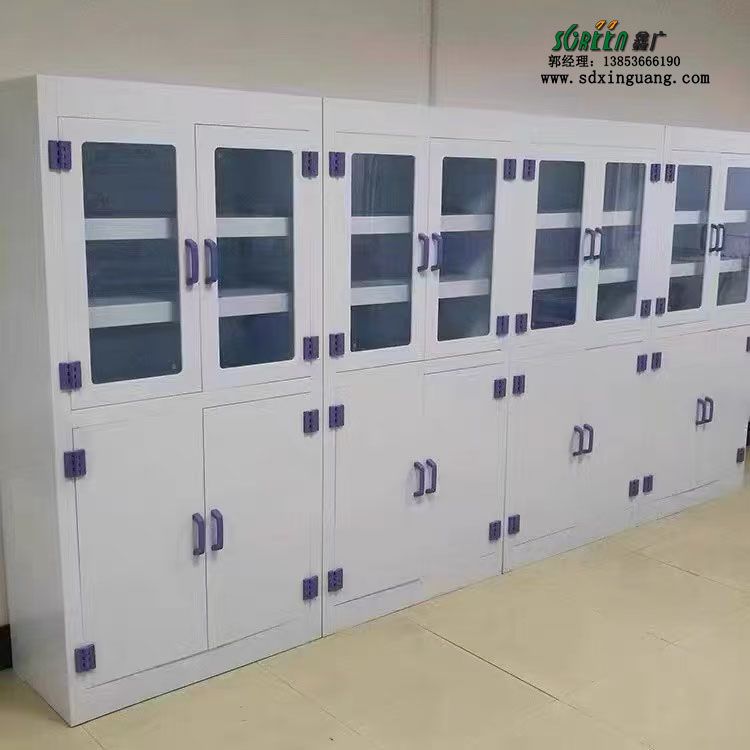 濰坊實驗室家具pp試劑柜實驗室器皿柜供應