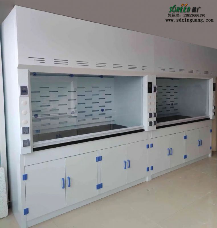 山東實(shí)驗(yàn)室設(shè)備pp實(shí)驗(yàn)室通風(fēng)柜實(shí)驗(yàn)臺廠家