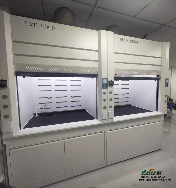 山東實(shí)驗(yàn)室通風(fēng)柜廠家實(shí)驗(yàn)臺廠家供應(yīng)