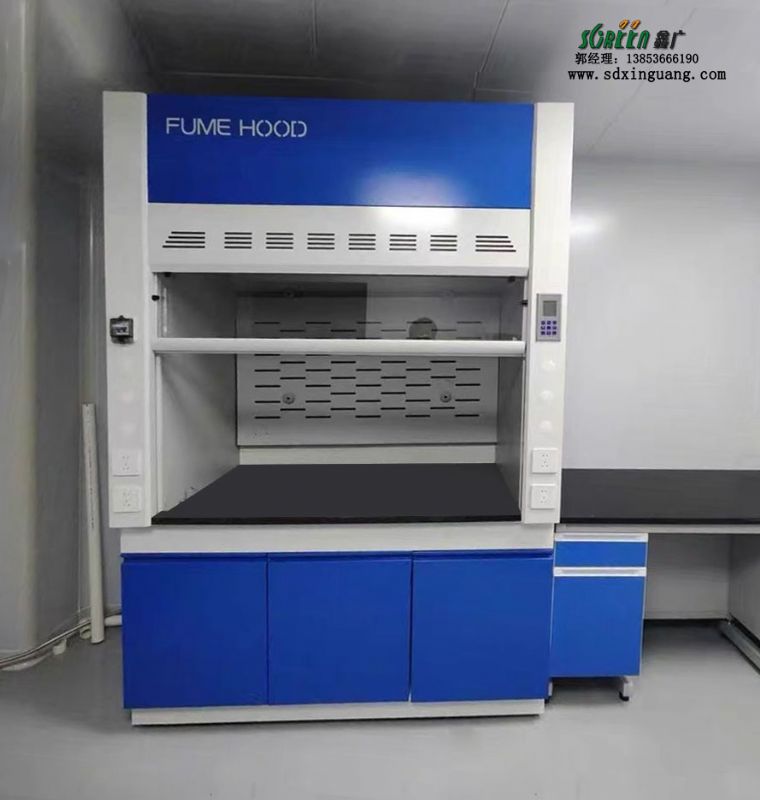 山東實(shí)驗(yàn)室設(shè)備全鋼通風(fēng)柜試驗(yàn)臺全鋼排風(fēng)柜