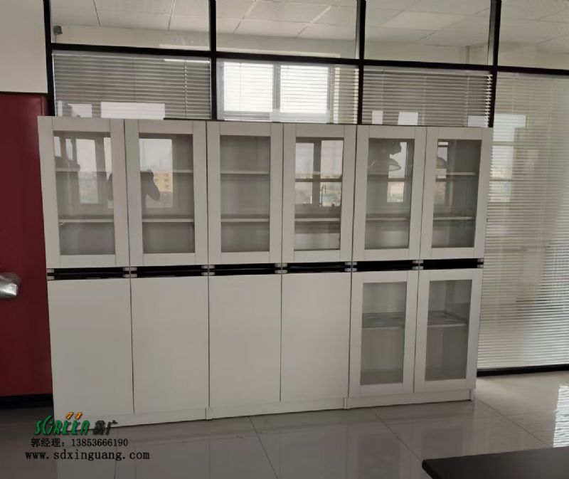 濰坊實驗臺設備實驗室器皿柜試劑柜生產(chǎn)廠家