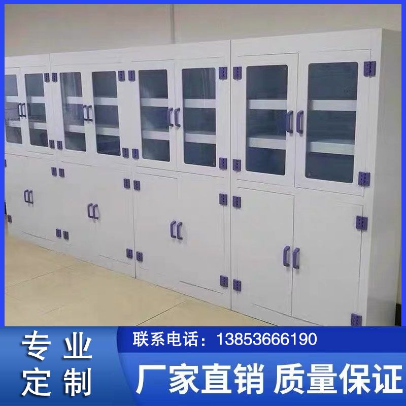 山東實(shí)驗(yàn)室家具pp器皿柜 實(shí)驗(yàn)室試劑柜生產(chǎn)