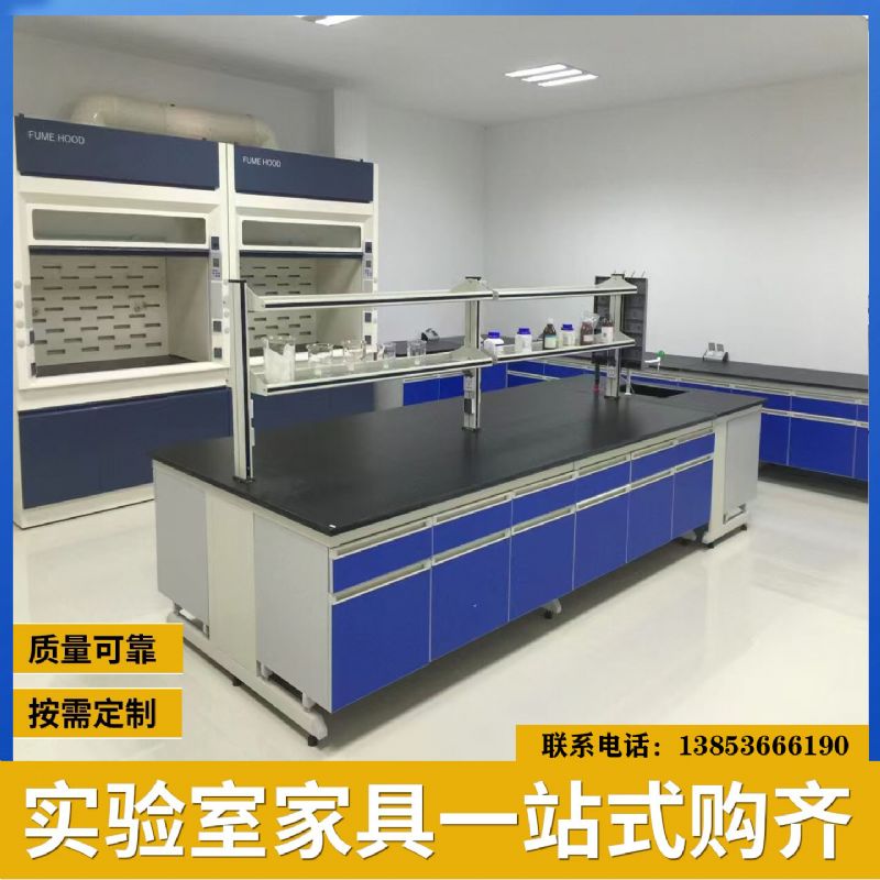 山東鋼木化驗(yàn)臺(tái)廠家 實(shí)驗(yàn)室通風(fēng)柜 耐酸堿 按需定制