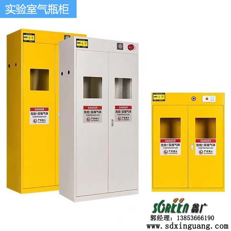 山東實驗室設備,全鋼實驗室氣瓶柜,實驗臺廠家