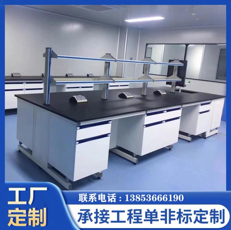 山東實(shí)驗(yàn)室操作臺(tái)器皿柜通風(fēng)櫥實(shí)驗(yàn)室家具生產(chǎn)