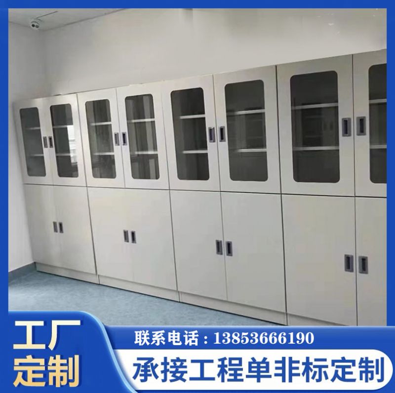 山東實驗臺廠家全鋼器皿柜化學品柜 存儲柜